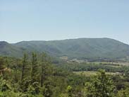 Scene of Wears Valley