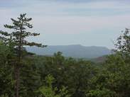 Scene of Wears Valley